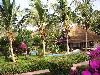 Maison en location saisonni�re &agrave; S�N�GAL