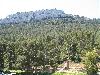 Appartement location saisonni�re