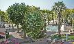 Maison en location saisonni�re &agrave; CANNES