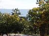 Maison en location saisonni�re &agrave; AJACCIO
