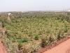 Maison en vente &agrave; MAROC
